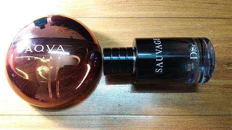 bvlgari aqva amara vs dior sauvage